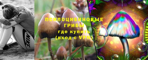 ECSTASY Аркадак