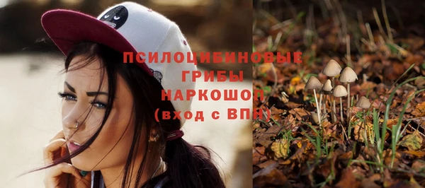 ECSTASY Аркадак