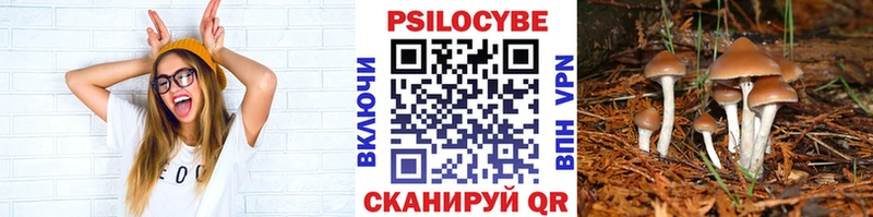 Галлюциногенные грибы мицелий  Озёрск 